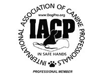 IACP Badge